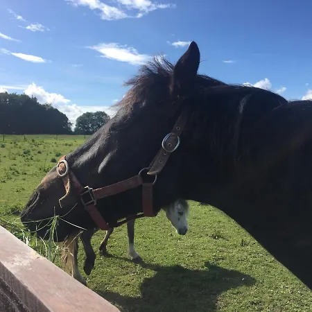 Mews 2 Bed By Trident Homes Hébergement de vacances